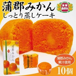 Gama Goori Orange Shittori Mushi Cake 10pcs